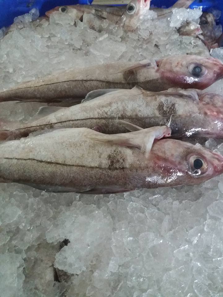 badger3336's tweet photo. #seasourceni #mourneseafood #eatmorefish #itsfryday https://t.co/LZp4Fd57b8