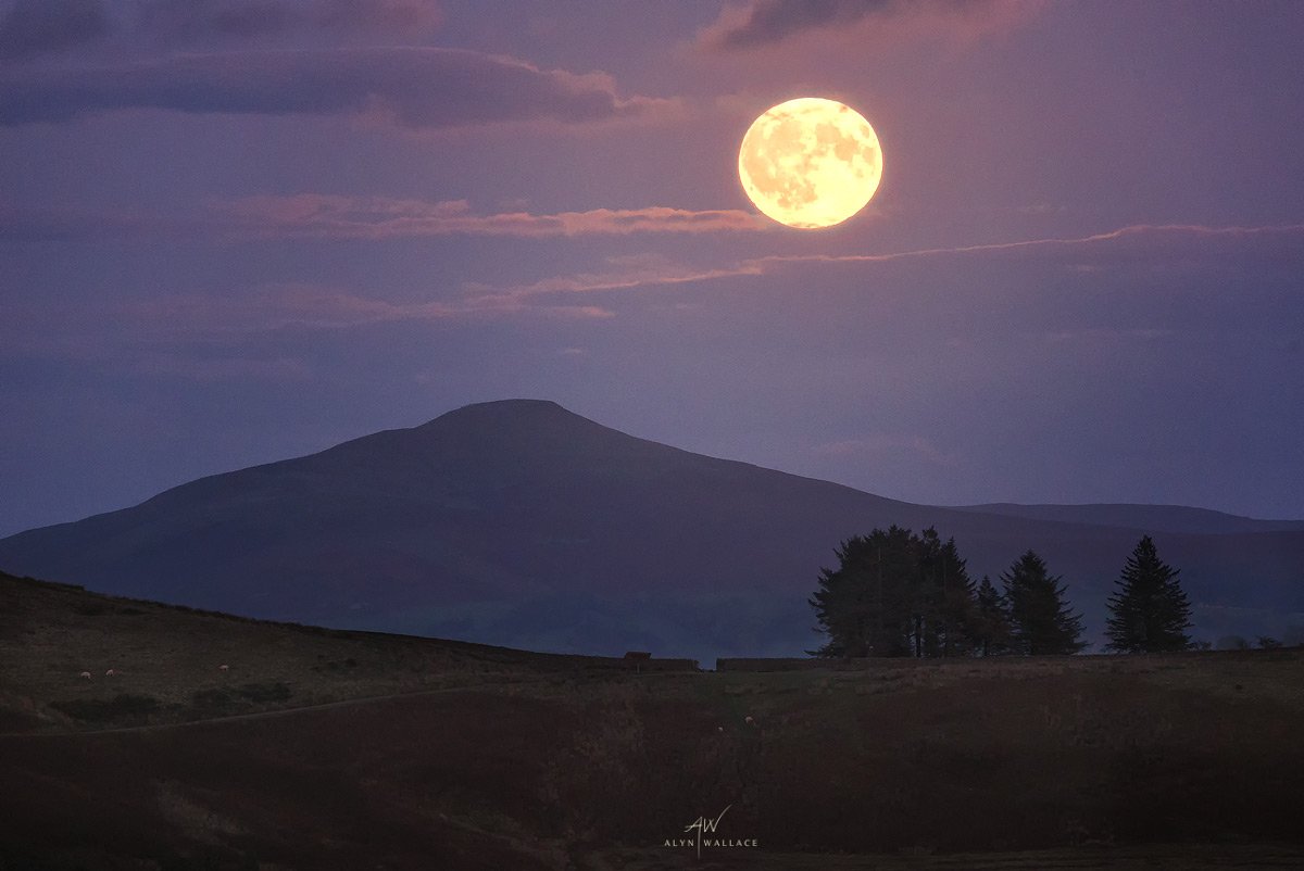 The Harvest moon above Sugar Loaf in the #BreconBeacons. What a feast for the eyes...