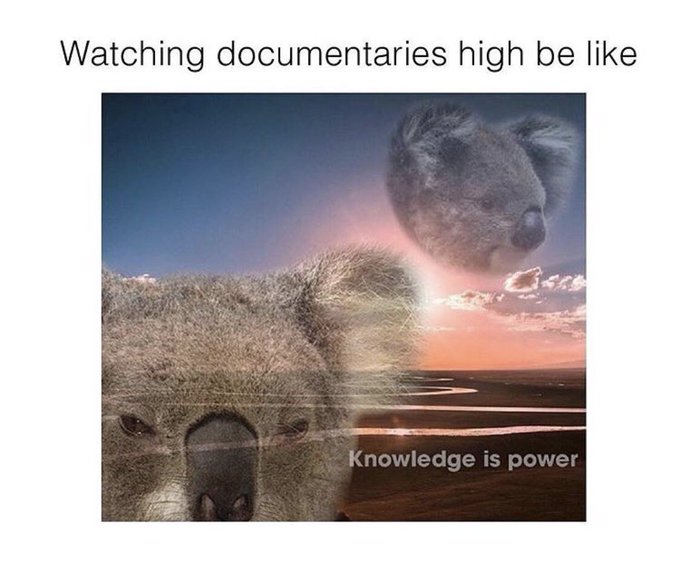 Hahahah this is me https://t.co/1AiarP5Fd3<a href="/tag/traffic"class="tags"><span>#traffic</span></a><a href="/tag/whatup"class="tags"><span>#whatup</span></a>