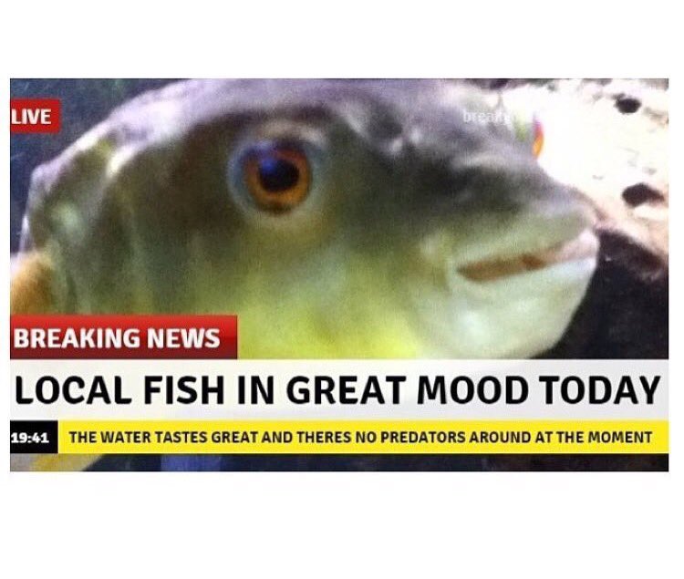 EarlDibblesJr's tweet photo. Finally some good news https://t.co/ER3xovUf8T