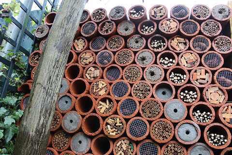 Why not make a bughotel :-)
