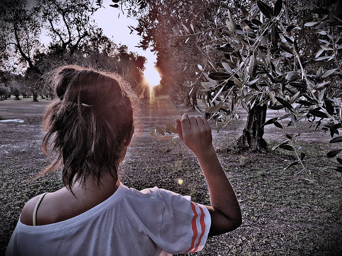 DARKY5779's tweet photo. HAND IN HAND
#Salento #southitaly #olivetree #sunset #notap #hdr #samsungs7edge #postproduction #ferenz #darkyph #daughter https://t.co/5cvIKXY09s