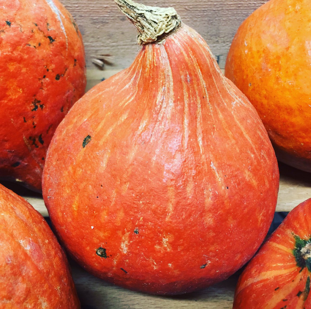 LPdeProvence's tweet photo. Le potimarron se conserve facilement chez soi, et il est très facile à préparer.
Consommez le en soupe, en purée...
https://t.co/MFpa7pC0yw https://t.co/UurNrGsNkM