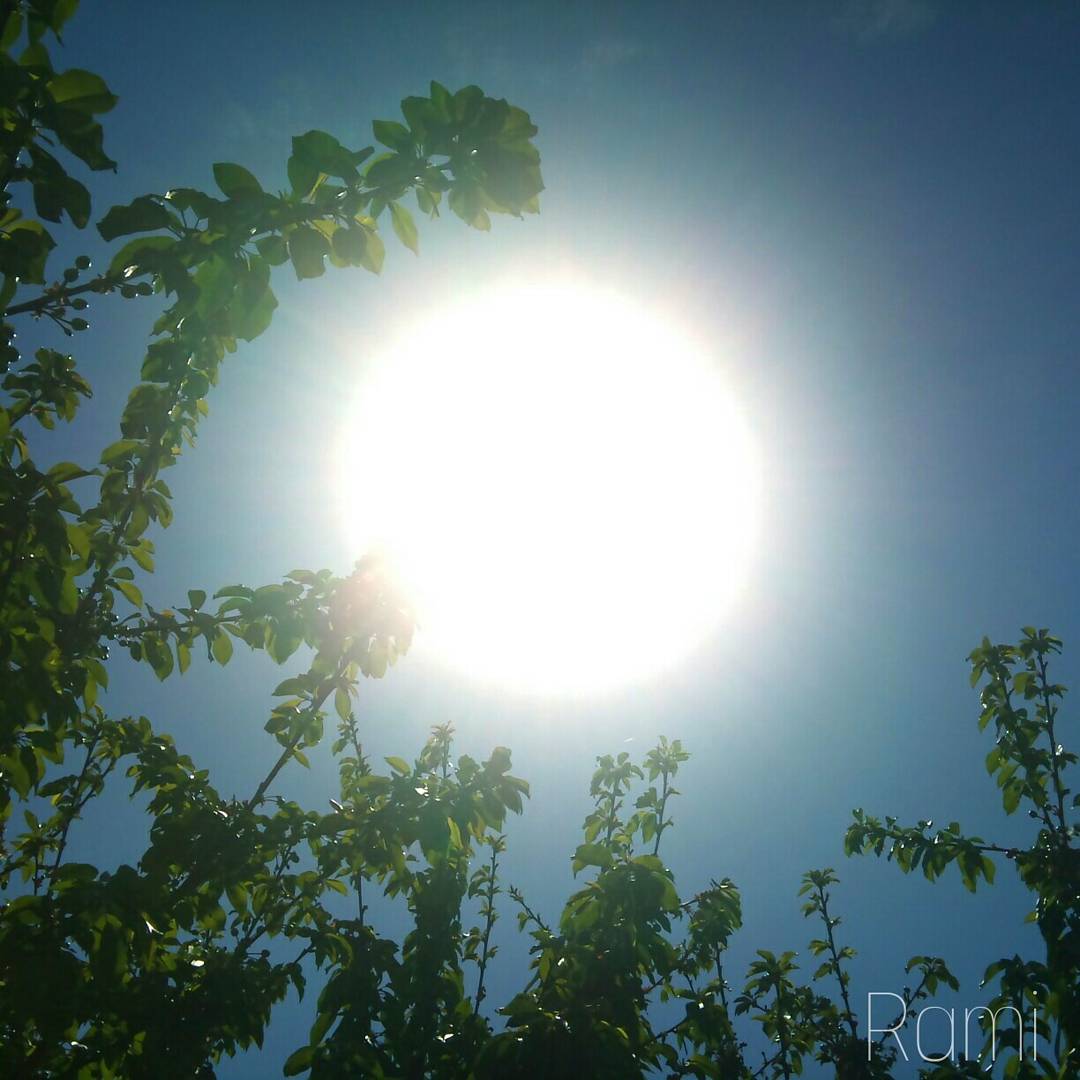 Alex Rami tweet media