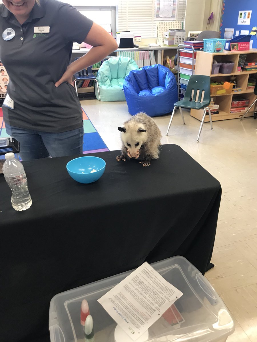 Lisa Levine tweet media