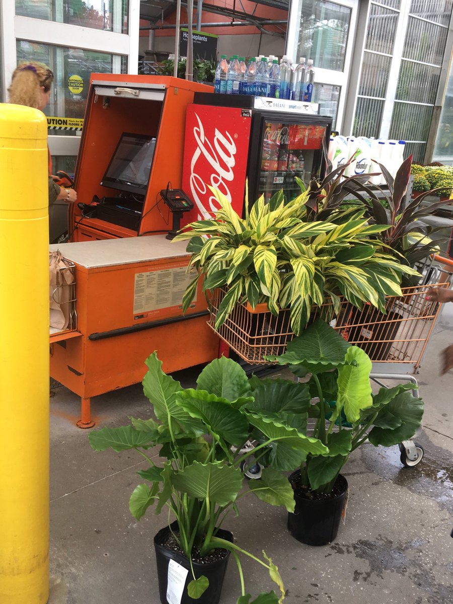 JeffGLNursery's tweet photo. https://t.co/Y9XRhRhCDJ