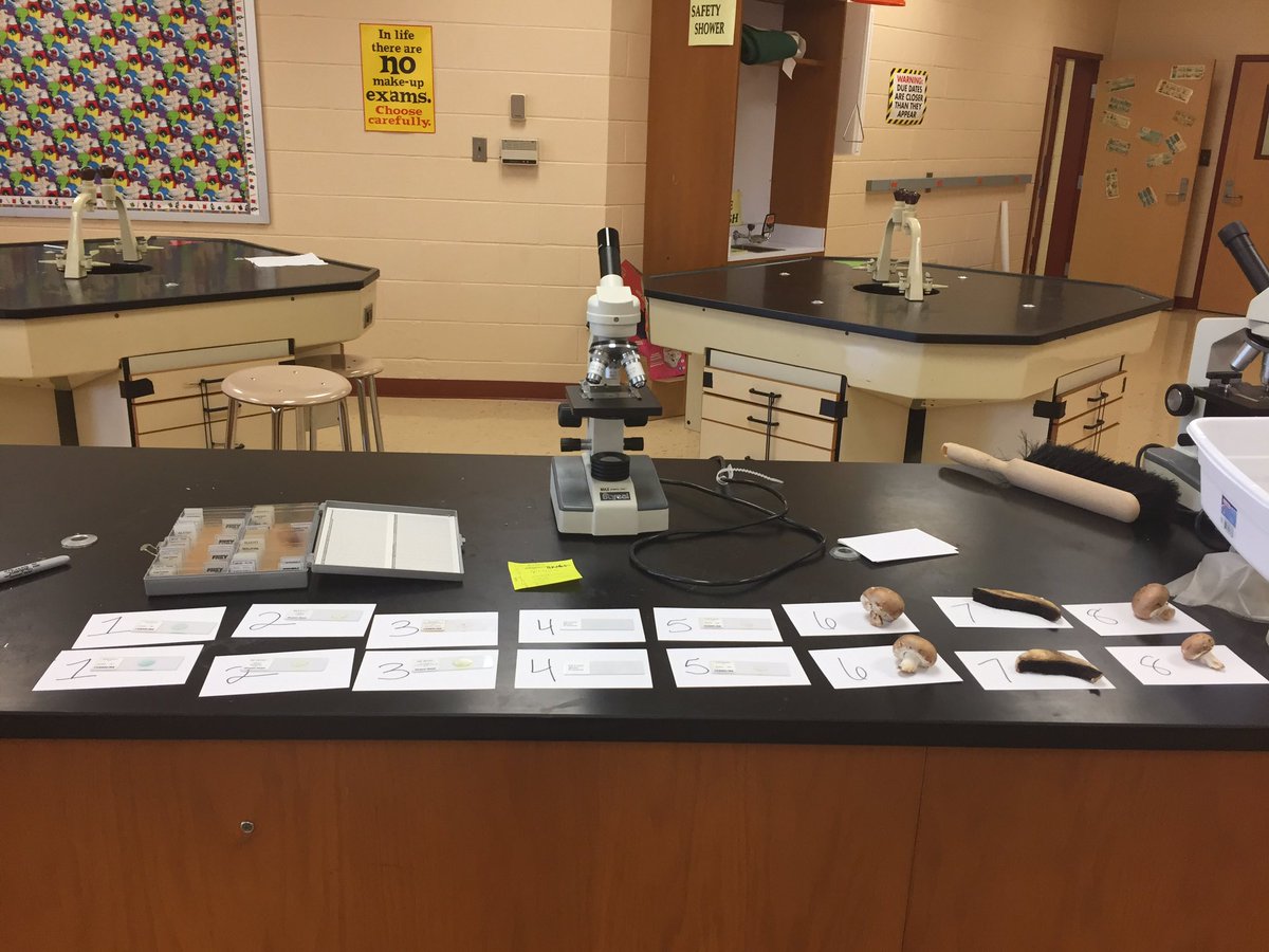 D_Pukl's tweet image. I love when test day starts like this.  #labpractical 🔬