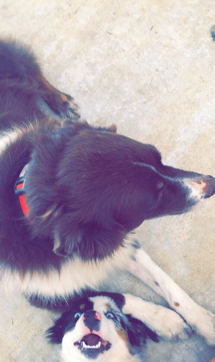 aham96's tweet photo. open for surprise https://t.co/PRHCTRVaJC