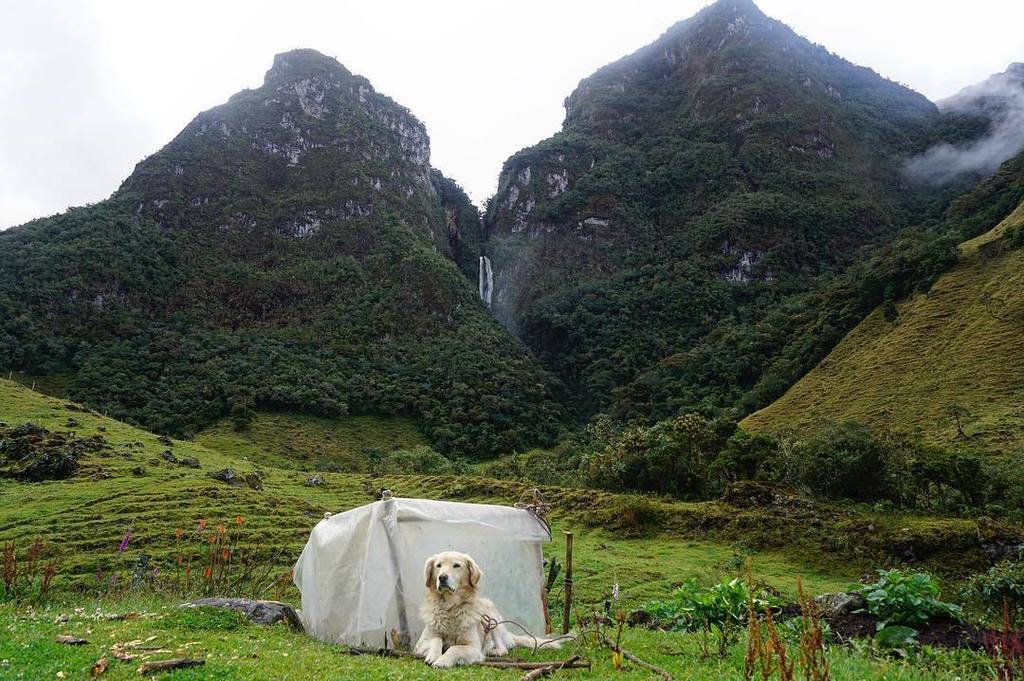 iam_colombiano's tweet image. Walk up the Andes mountains in our special tours❗️ Can somebody guess where are this mountains located❓
.
.
#higha… ift.tt/2xY7XyI