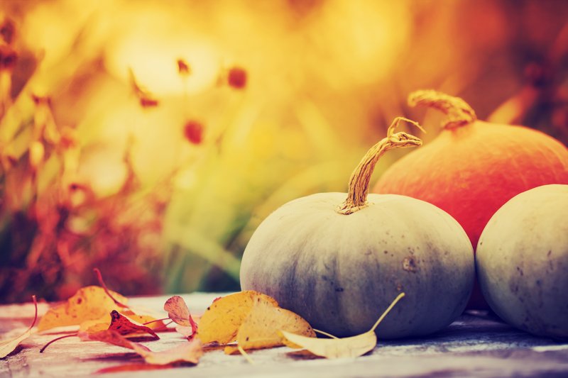 Apertureapts's tweet photo. Prost! Celebrate fall w/good beer, food, dancing &amp; more 10/7 during #FlavorsOfFall Festival. https://t.co/rUgSd0T9yS #LifeAtAperture https://t.co/lx9yqoqJhe