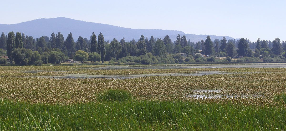 YaleEnvironment's tweet photo. Yale economist: Trump water rule ignores millions of dollars in benefits https://t.co/1h44w3Blbt #waterrule #epa @sciencemag https://t.co/fNByTDmUNq