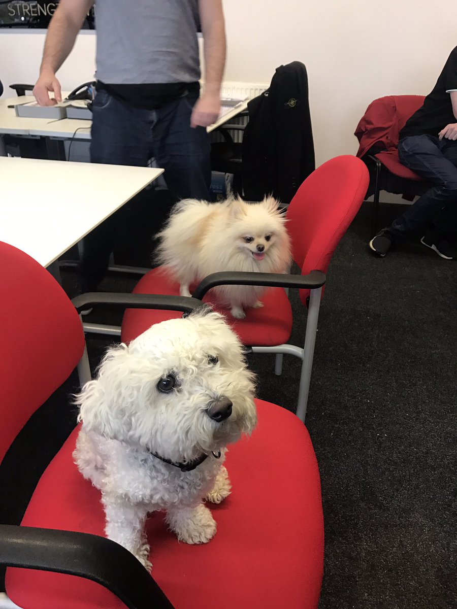 Archie Davies tweet media