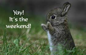 LeadrshpSystems's tweet photo. #FF @mandymenaker @Comaford @sarah_jurgen @whollyorders @RanzanTanchangy   Have a great weekend  #Leadership https://t.co/Jty3JOaiND