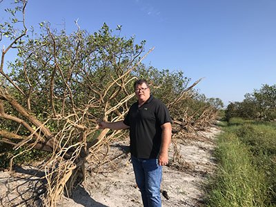 thepacker's tweet photo. VIDEO: We visited #citrus groves in hard-hit Hendry County, Fla., and spoke with growers about the effect of #Irma https://t.co/BX77mt1udA https://t.co/FdJz5o8sp3