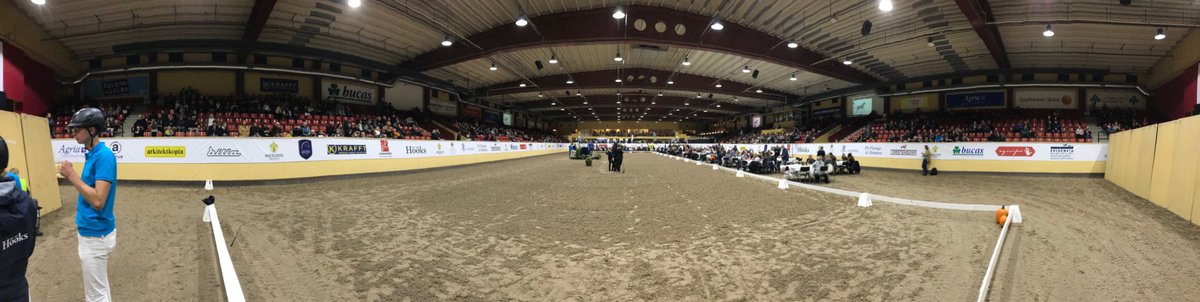 tidn_ridsport's tweet photo. #BreedersTrophy SWB:s elitfölauktion startar när som helst #mestfolkpåhelaveckanihallen https://t.co/lM8V6LoCze