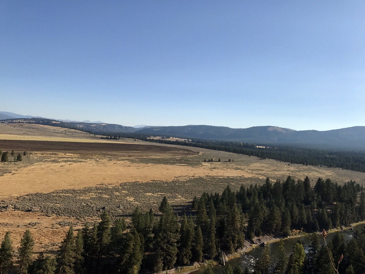 PawsUpMontana's tweet photo. Today’s ATV ride view on our ranch #friday https://t.co/n4tCPGVrl8