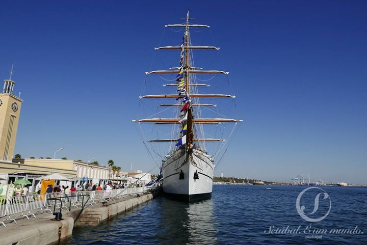 VisitSetubal tweet media