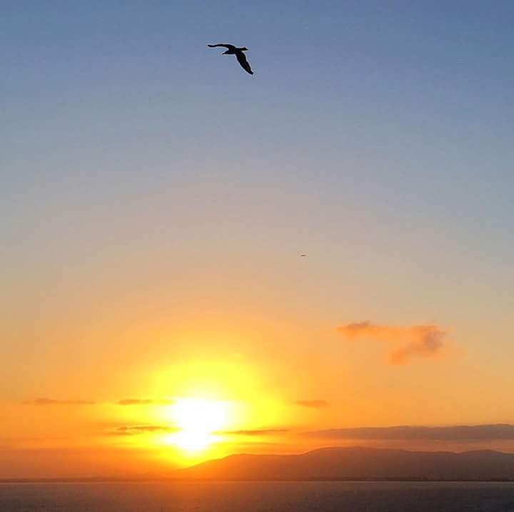 Willkommen zum empfehlen flp.ch 
Anmeldung kostenlos registrieren lassen online