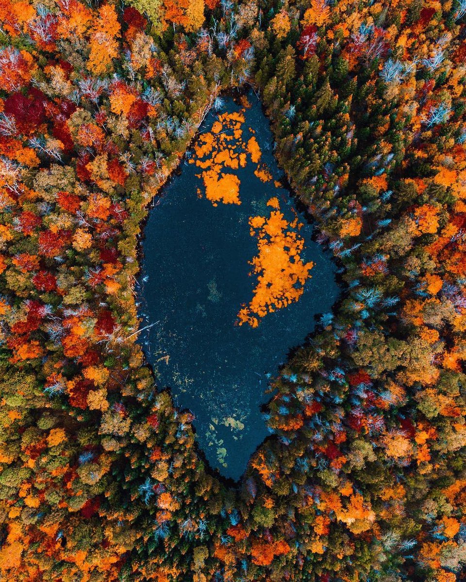 earth's tweet image. Fall colours in Vermont