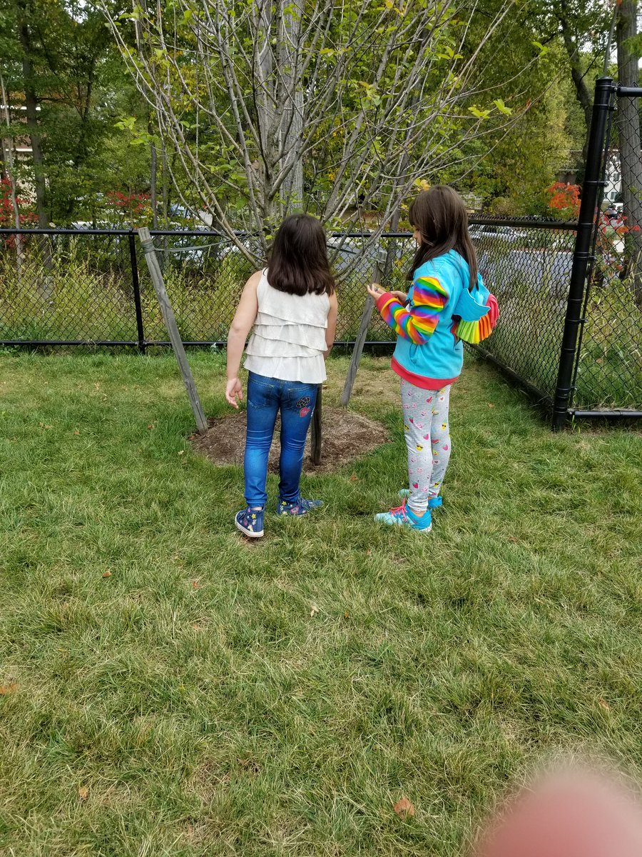MsShea12's tweet photo. A new student at school sought out a friend who usually plays alone &amp; they started a sweet rock collection ❤ 
#BeWES #BeAFriend #ilovemyjob https://t.co/rYz9xKaSII