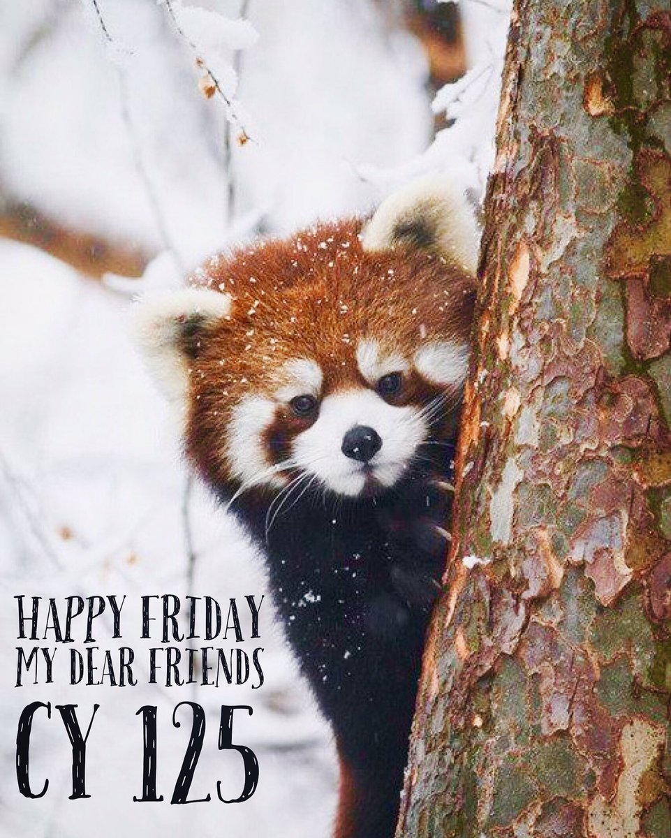 cy125cybenefits's tweet photo. Happy Friday my dear friends. ----CY 125
#fridaymood #weekendiscoming #cuteredpanda #adorablepanda #insurancecompany #happymoods https://t.co/tetZRL323d