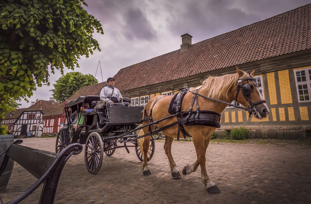 You'll find this Danish version of a #timemachine at the old town #museum, <a href="/Den_Gamle_By/">Den Gamle By</a>, in <a href="/VisitAarhus/">VisitAarhus</a> 🐴⏱️
📷 olesteffensen/IG #denmark