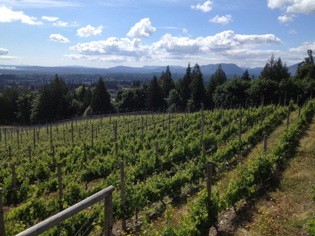 Book your spot at @AverillCreek's behind the scenes tour for tomorrow! #savourcowichan

averillcreek.ca/online-store/t…