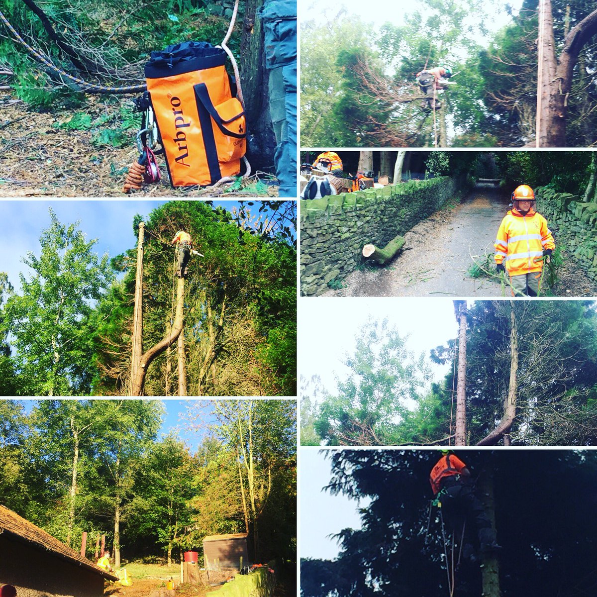 snstrees's tweet photo. finally done with 6loads of chip and 7loads of log all cleaned up and done #teamsns #snstrees #dmm #dmmwales #arbpro #whaleybridge https://t.co/g77Uuw99oN
