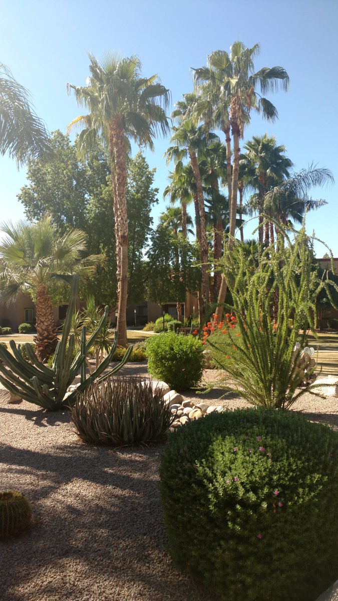 ConnieLittle's tweet photo. Enjoy beautiful #AZ https://t.co/CFTLCkYouZ
