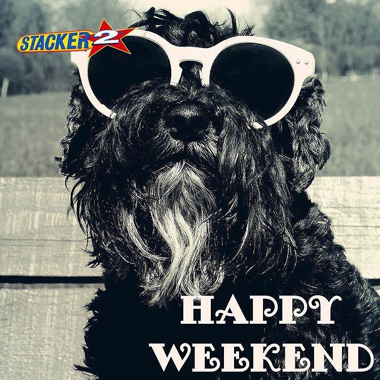 Stacker2Energy's tweet photo. Happy weekend Everyone ๐!
โข
โข
โข
โข
#stacker2 #stacker2energy #happyweekend #happyfriday #instagood #phothooftheday #love #cute #like4like #fโฆ https://t.co/tm4RvJS2ZM