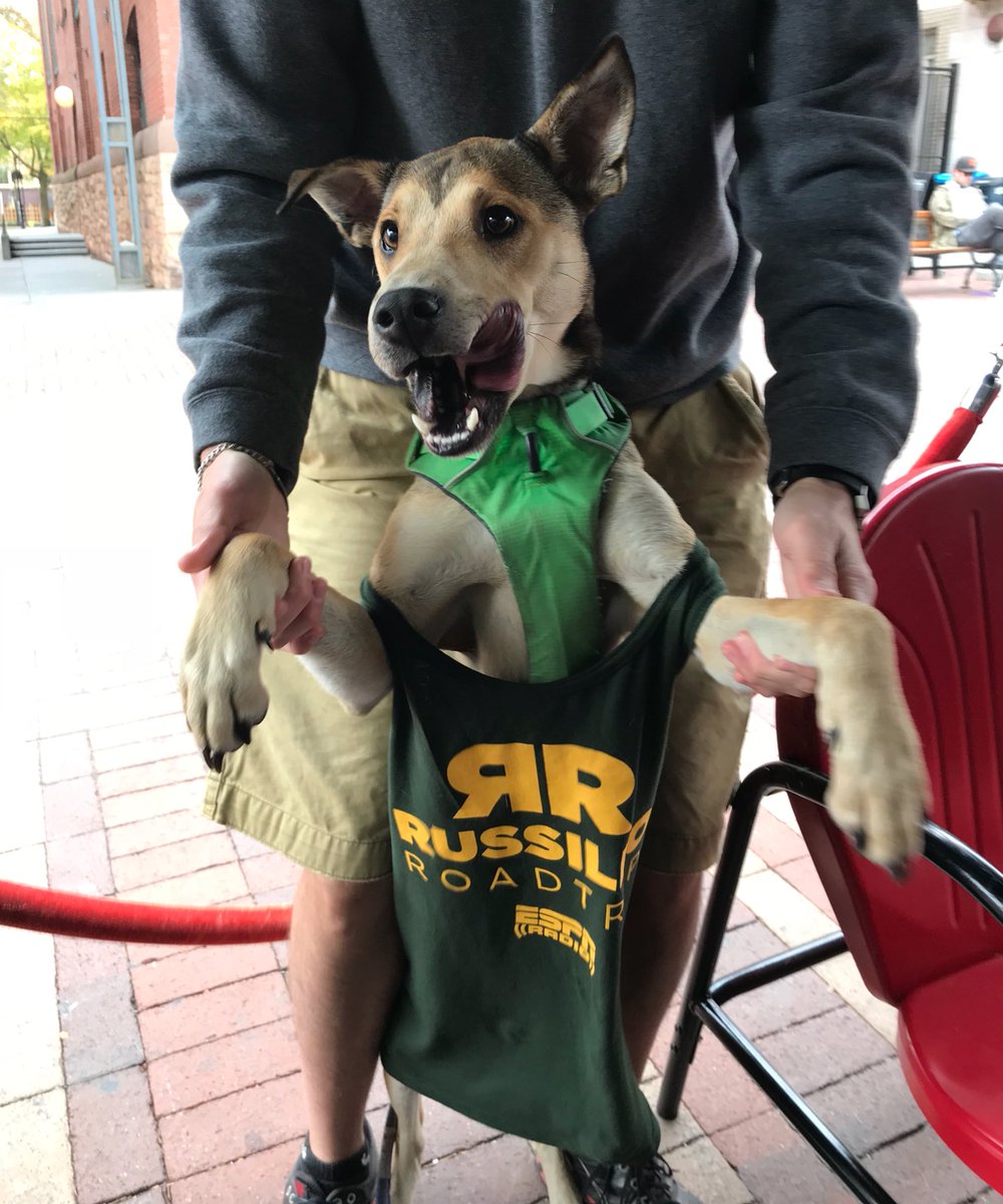 dead. dead dead dead. 🐶😍#russilloroadtrip