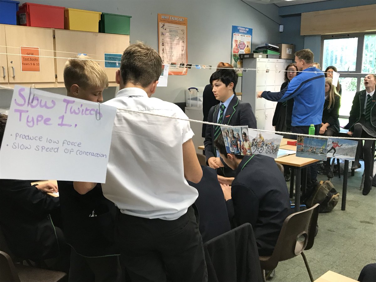 Redhill_GCSEPE's tweet photo. A delight teaching Y10 this morning... they were amazing at making a muscle fibre continuum across the classroom #gcsepe https://t.co/acwXZT8840
