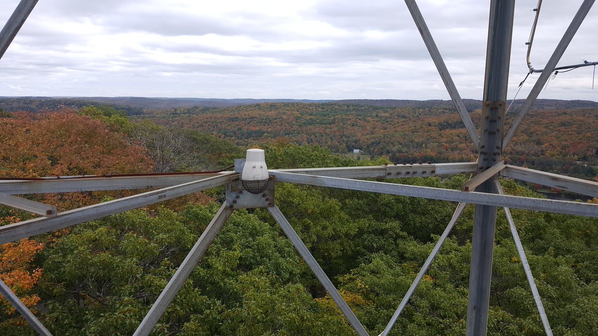 Coping_with_MS's tweet photo. The higher I go, the more stunning the view! #Climb #ConquerMS https://t.co/CnCBVImheq