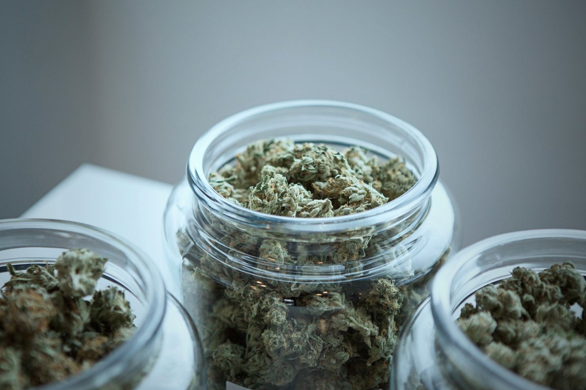 VTCannabisNews's tweet photo. The Eventuality of Legalization in Vermont: https://t.co/9dKorr8xbO #VT #vtpoli #cannabis #marijuana #legalization @VTdems @progparty @VTGOP https://t.co/adXoZpNcAq