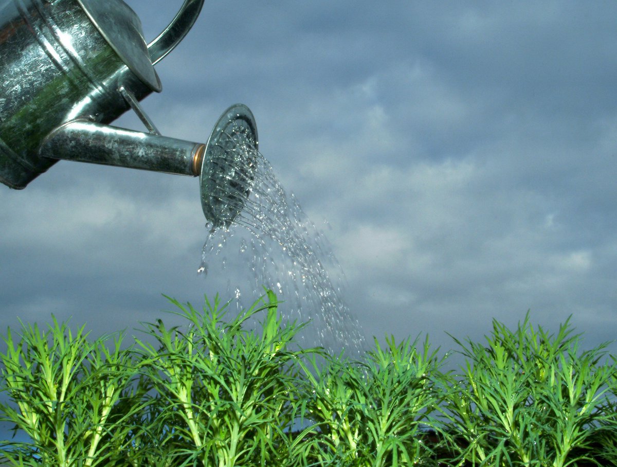 FullScaleNANO's tweet photo. Using new #nanotech, farmers can reduce their water consumption by up to 50% while increasing their production! https://t.co/bmgTcsXSCv https://t.co/CdVg1TRUih