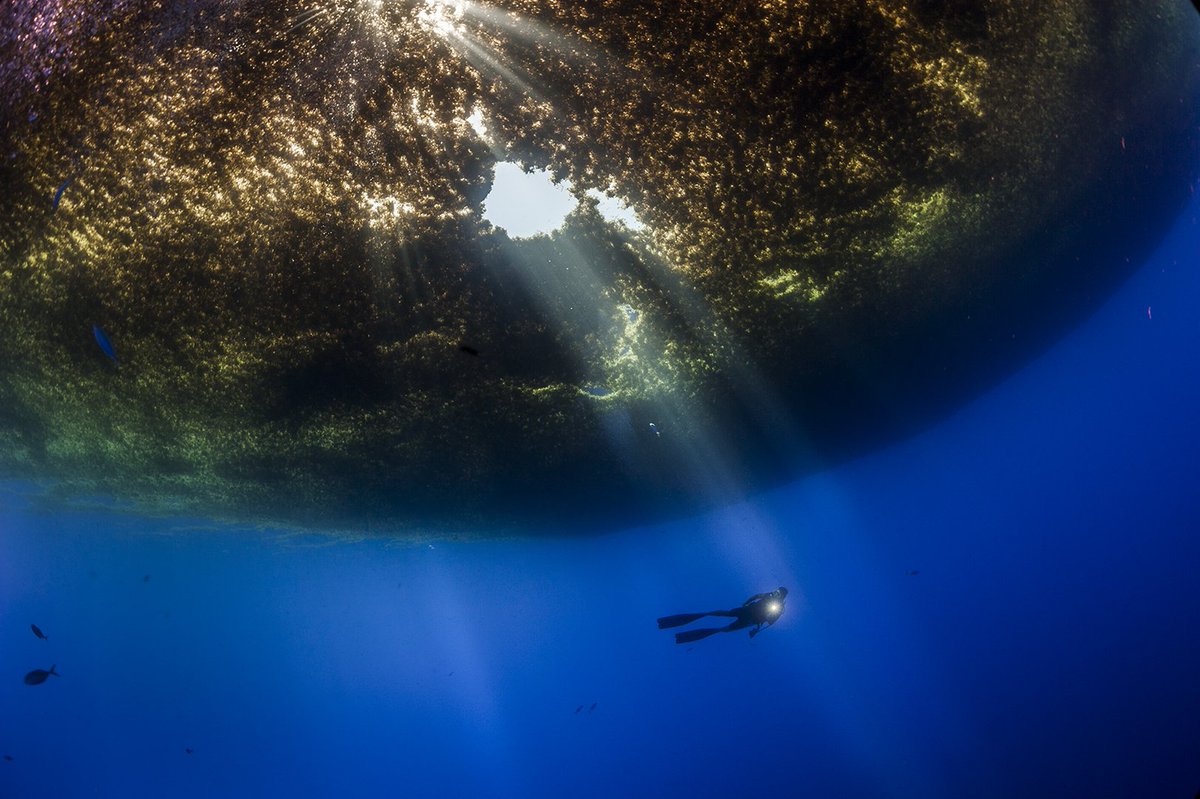 Massive #sargassum weed mats off Mexico. On assignment w/ <a href="/NatGeo/">National Geographic</a>