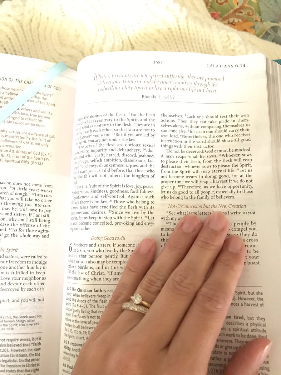 mrsehughes's tweet photo. My new Bible came today-it was time to move on from the Teen Study Bible I used for years. New season, and I'm entering with an open Bible! https://t.co/ya3gXD6joa