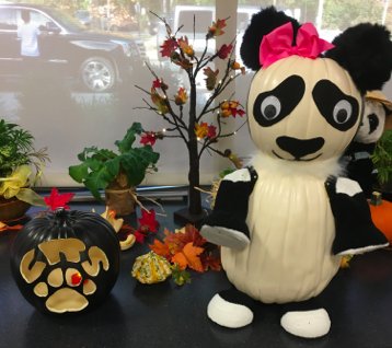 A big thank you to Ms. Morgan Friedman for our CRS festive fall decorations!