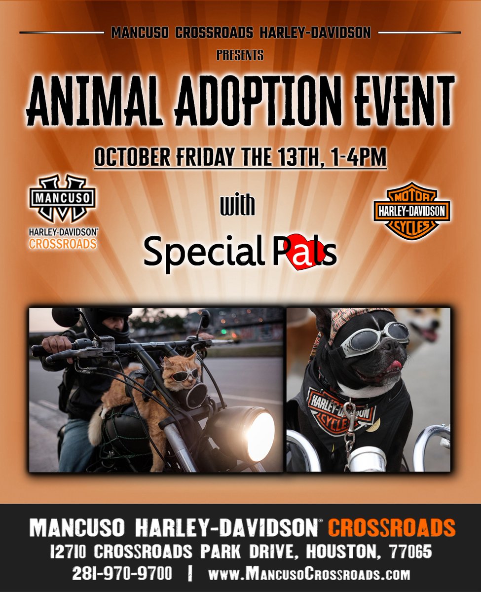 CrossroadsHD's tweet photo. https://t.co/lNmZQmquBg