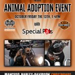 Photo by Mancuso CrossroadsHD (@CrossroadsHD)