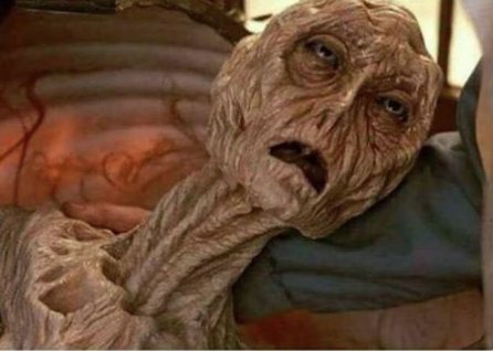 Jean_FredDavid's tweet image. Fabian a l'air en forme ! #KohLanta