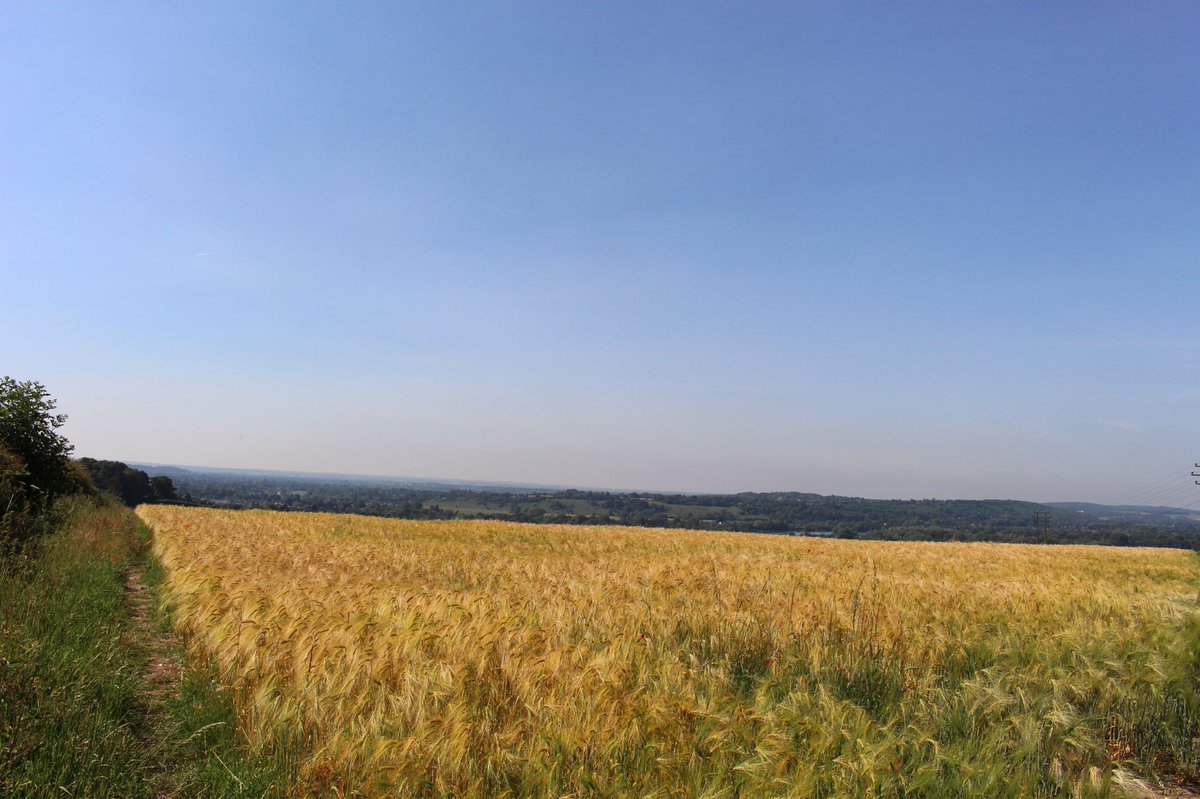 Find out more about FHRA by joining our Facebook group. 300 members and rising: m.facebook.com/groups/2692852…