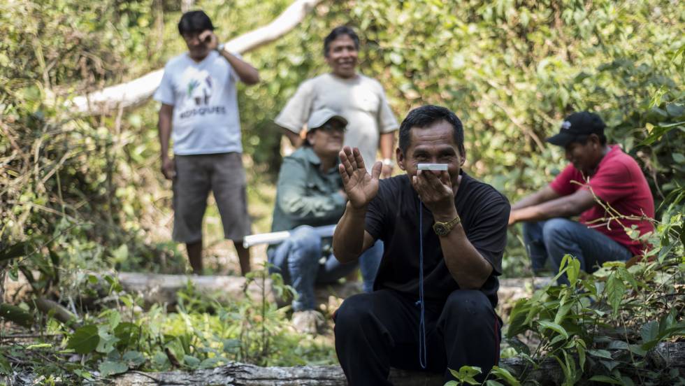 alianzabosques's tweet photo. Talento y tecnología para recuperar tierras ancestrales #derechosterritoriales #guardianesdelbosque https://t.co/OW0g8ZxRXz https://t.co/oVdpy2zAws