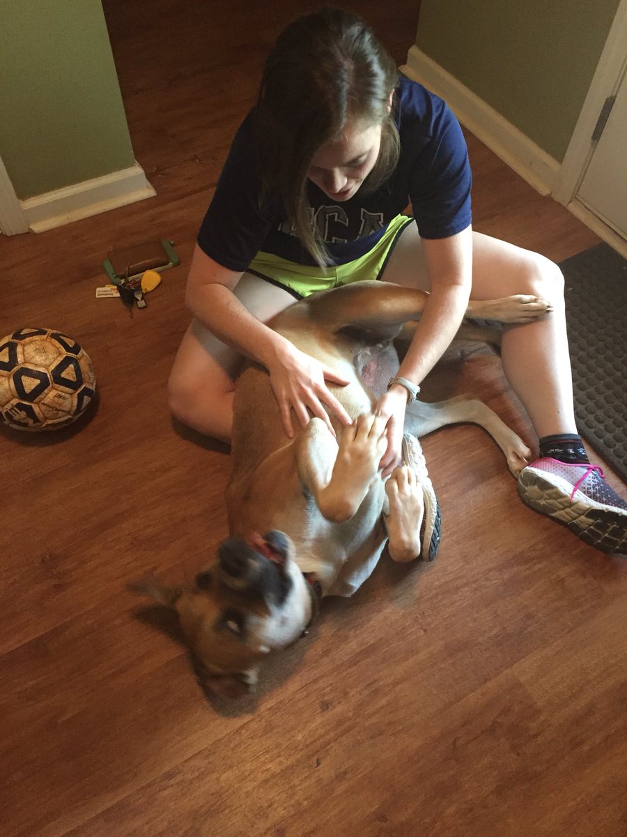 MaryMo_15's tweet photo. When you havenβt seen fam in a hot minute, so you have to have a little pow wow right when they enter. #rileypup @chrisherstory https://t.co/Ztl85hbJP2