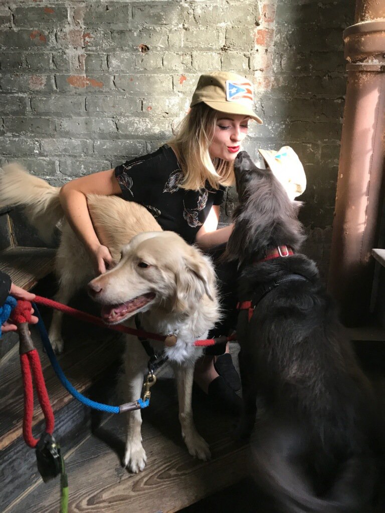 Hot girls + cool dogs hustling 4 the hurricane in my stairwell get ur <a href="/ellenchristine/">ellen christine</a> Hats=happiness <a href="/thesatoproject/">TheSatoProject</a>