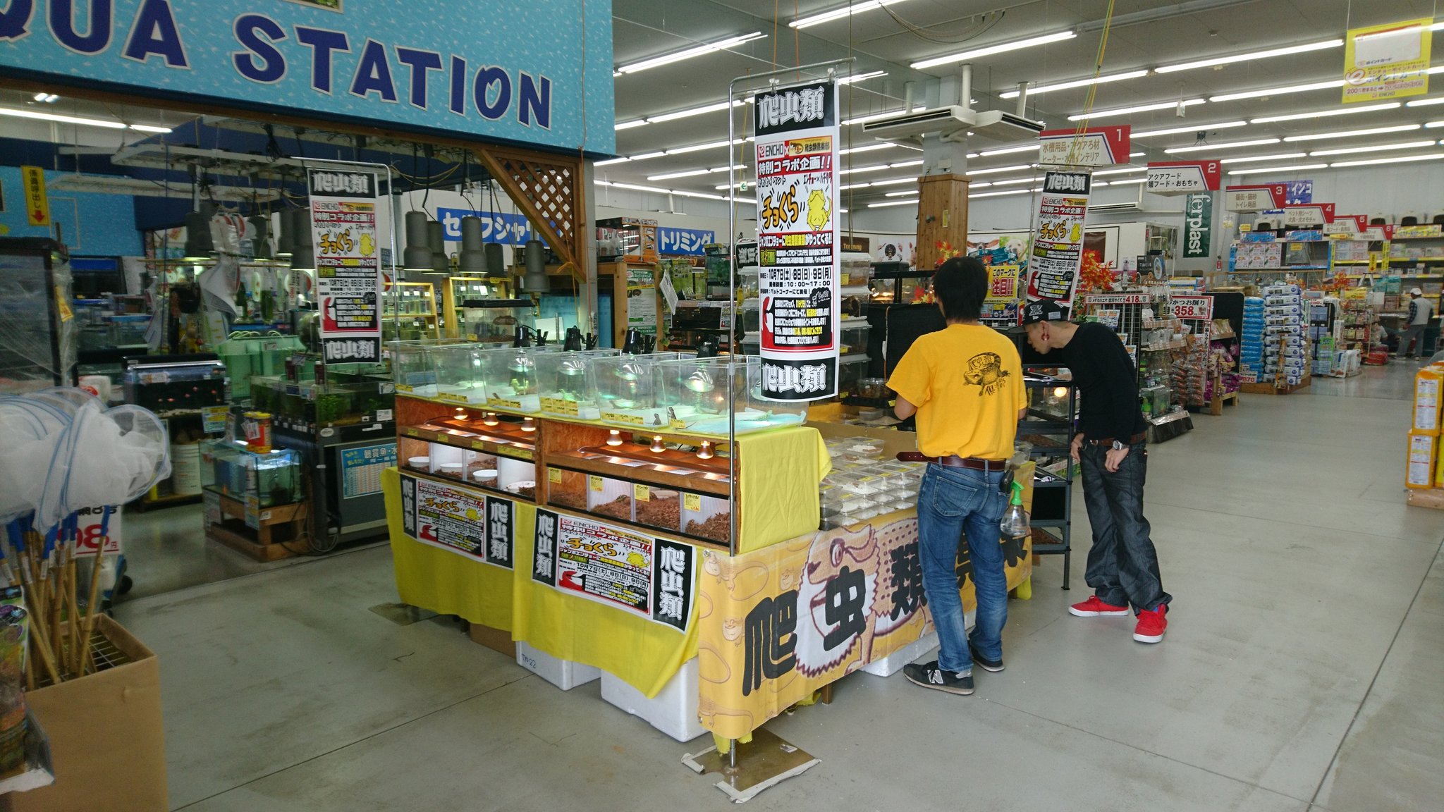 爬虫類倶楽部 仙台店 本アカウント 始まりましたー エンチョー様 爬虫類倶楽部 特別コラボイベント即売会 チョくら Inジャンボエンチョー岡崎店 生体詳細は T Co Vzpikufrun ぜひ 足をお運びくださいませ T Co 爬虫類倶楽部 仙台店 本アカウント 始まりましたー エンチョー様 爬虫類倶楽部 特別コラボイベント即売会 チョくら Inジャンボエンチョー岡崎店 生体詳細は T Co Vzpikufrun ぜひ 足をお運びくださいませ T Co