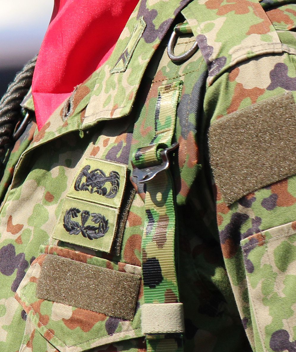 自衛隊ちょっとメモ・・・資格持ち・・・水陸両用とレンジャー記章