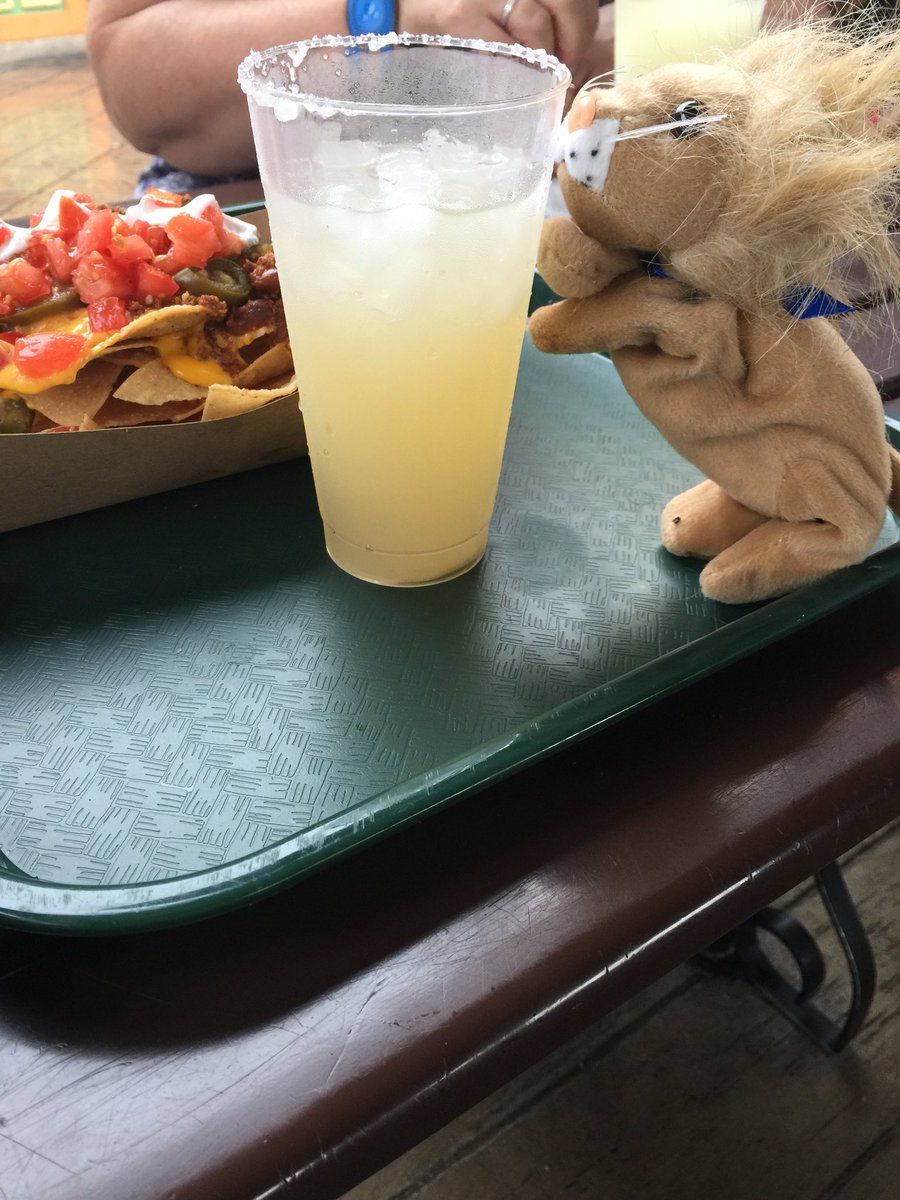 jlrittimann's tweet photo. #ROARfdaqrc https://t.co/UhZsIzIqwL