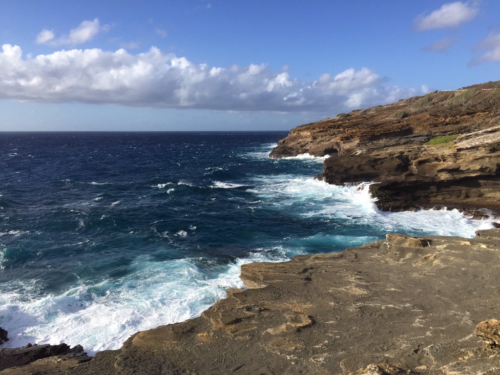 TravelwithPOwer's tweet photo. We are looking for your boat #Desmond @hicusick #Aloha 🌴☀️🌴 #LOST2017 #thelostcon #travelwith #POwer https://t.co/VKw90HqkfH