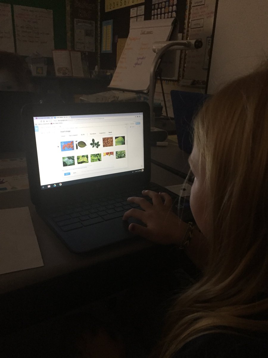 TeachMrsGibbs's tweet photo. First graders writing nouns with matching verbs and learning how to insert an image on a google doc! @rcsdblueoaks #rcsdchampions https://t.co/gQ8LpDfXH9